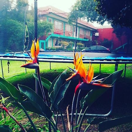 Hotel Las Fumarolas De Don Goyo Cholula Esterno foto