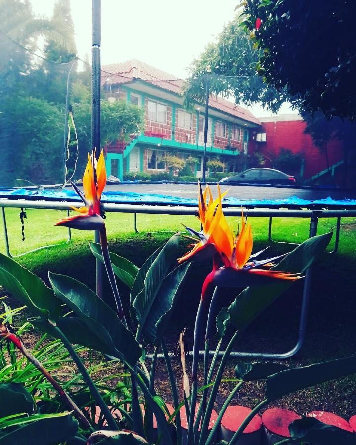 Hotel Las Fumarolas De Don Goyo Cholula Esterno foto